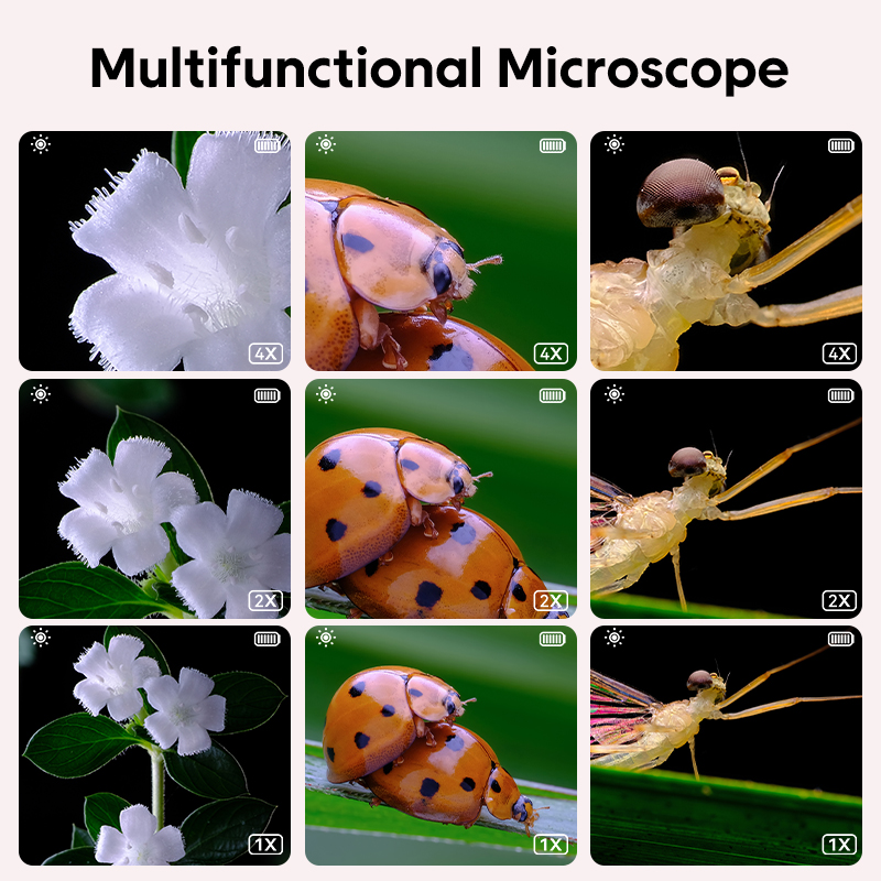 Mini Kids Optical Microscope W - Kids Toys Videos review and price