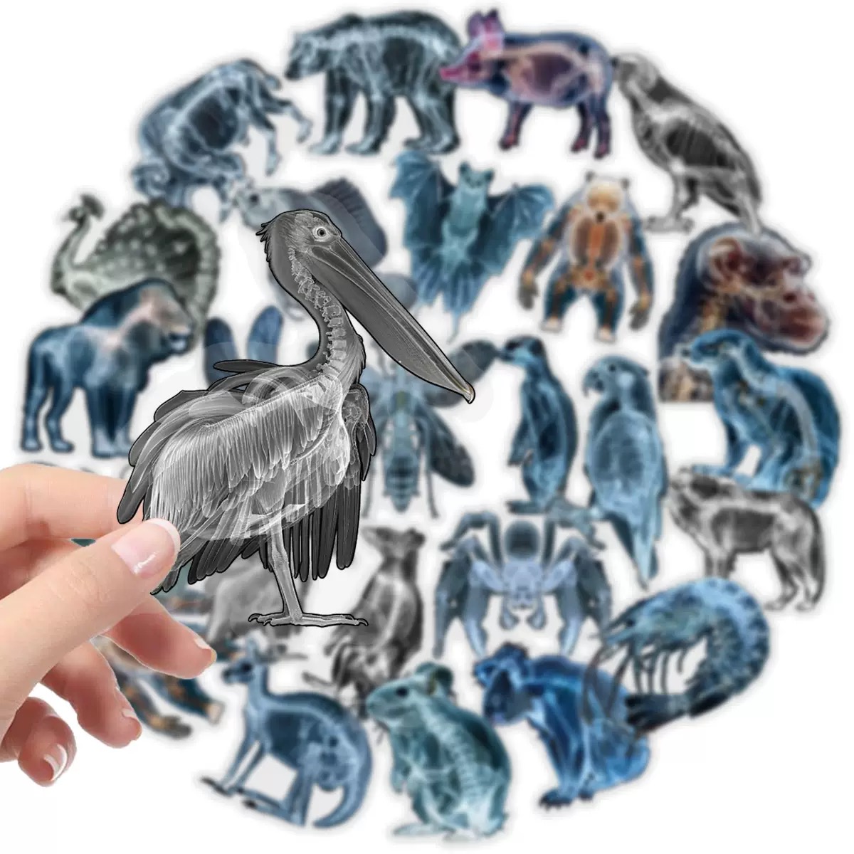 10/56pcs Animal Skeleton Stick - Kids Xray Toys review and price