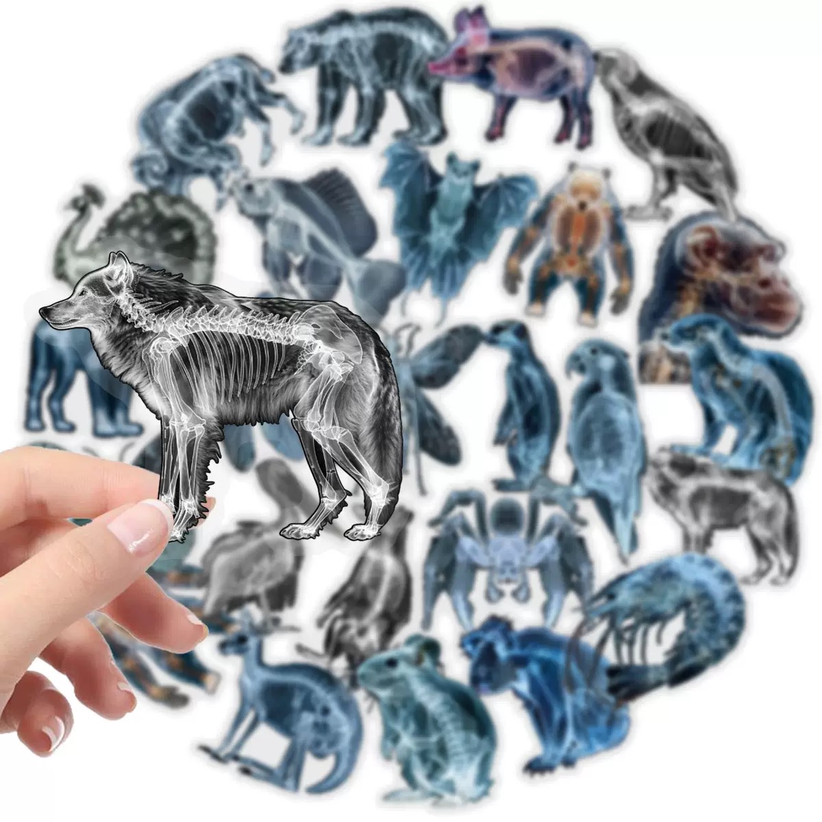 10/56pcs Animal Skeleton Stick - Kids Xray Toys review and price